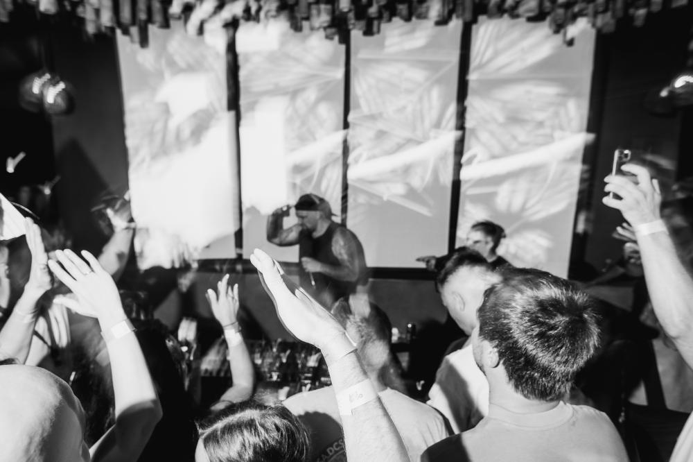 диджей и гости